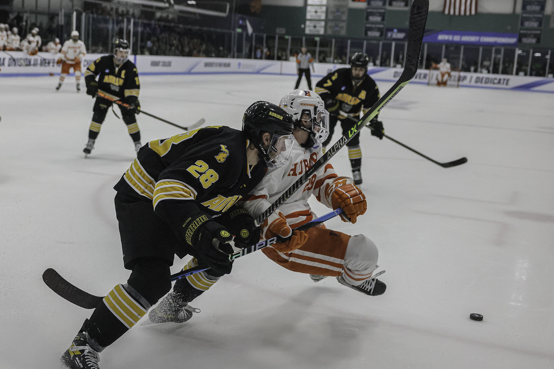 Hobart Hockey NCAA DIII 2023 Champions